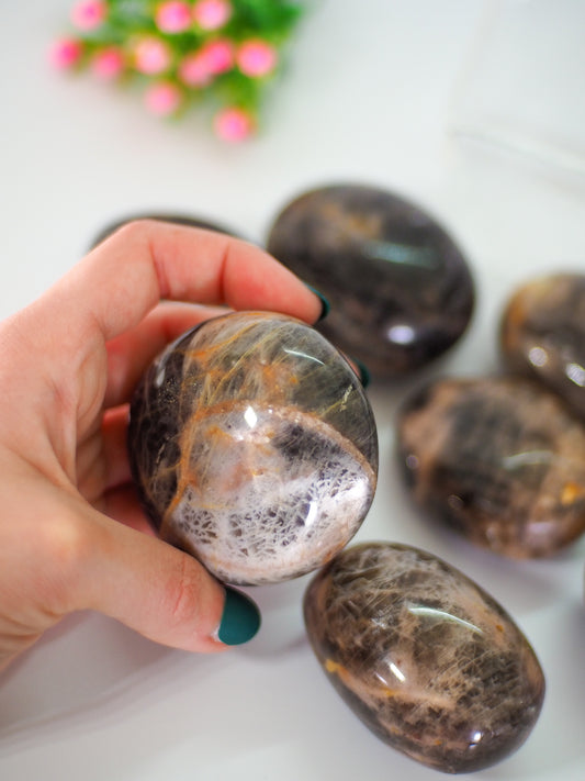 Black Moonstone Palm Stones