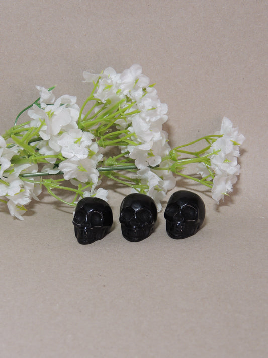 Obsidian Skulls - themoonclub.shop