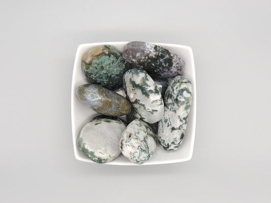 Moss Agate Palm Stones - themoonclub.shop