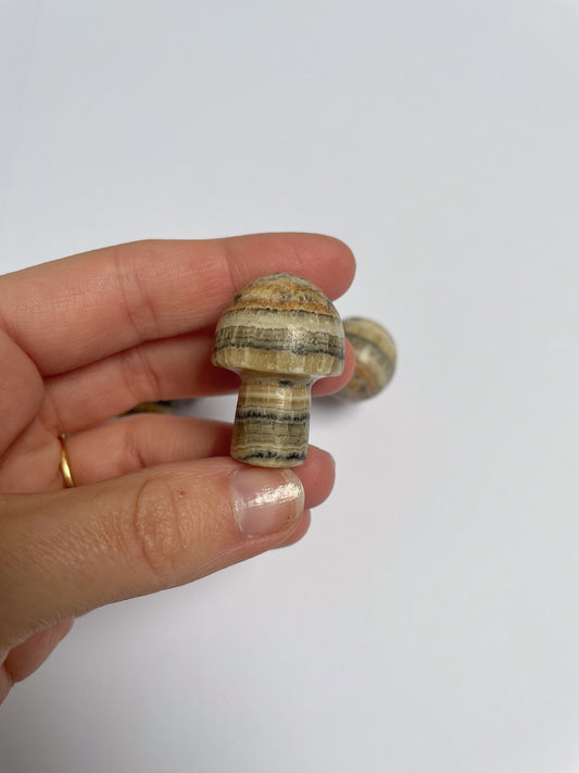 Bumblebee Jasper Chunky Mushrooms