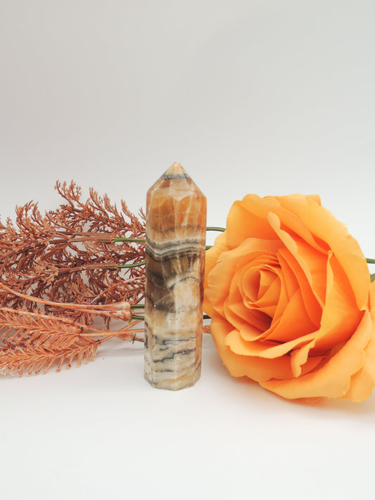 Zebra Calcite/ Chocolate Calcite Tower #2 - themoonclub.shop